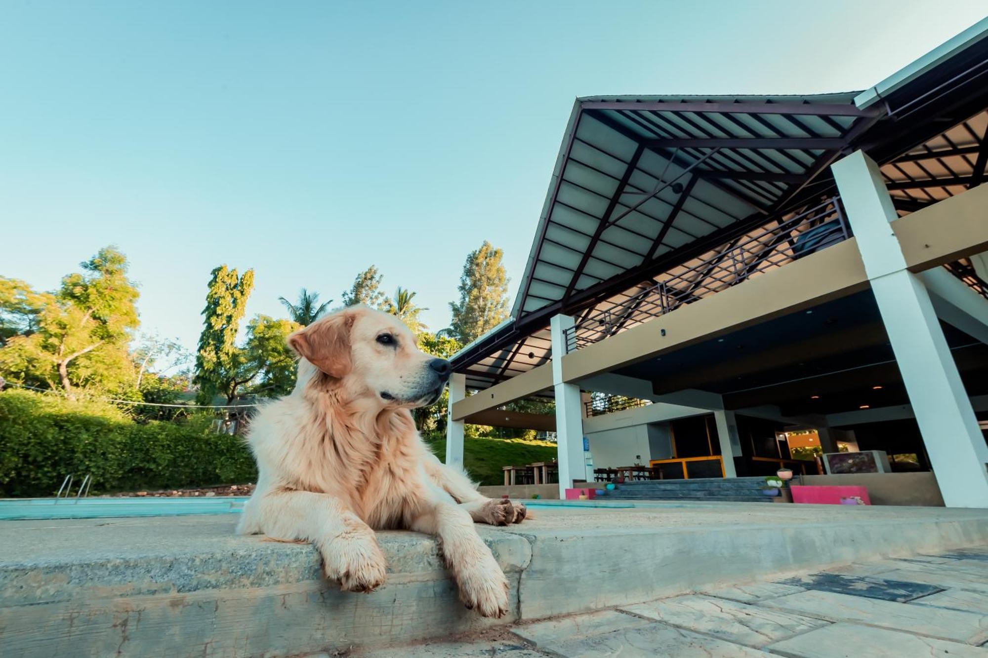 Commune18 Spa Resorts Chikmagalūr Kültér fotó